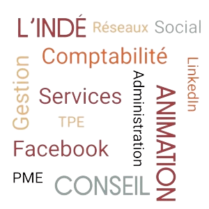 Image faite sur Canvas de type medley de mots en relation avec les services proposés en gestion administrative, comptable et animation de réseaux sociaux